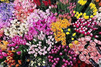 育碧新作《超越善恶2》疑似放弃PS4和XboxOne